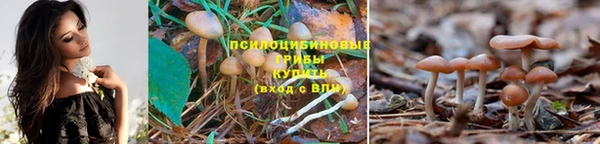 ECSTASY Верхнеуральск