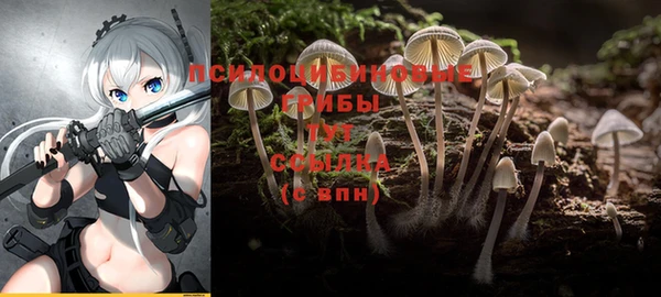 ALPHA PVP Верхний Тагил